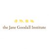 Jane Goodall Institute (JGI)_570.jpg
